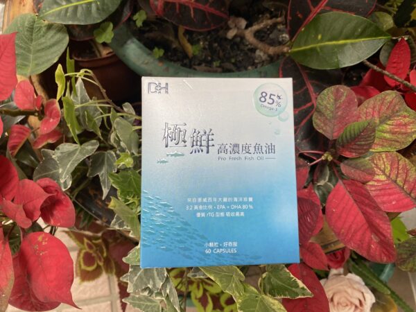 DH恆隆生技/極鮮高濃度魚油/rTG形式/ 豐富Omega-3/營養補充/小顆粒好吞服/補充魚油好處/高新鮮度/高濃度/高吸收度/循環保健/全家防護/大人小孩都適用