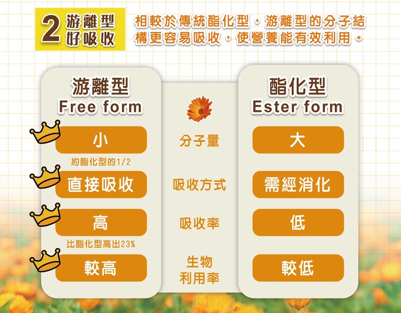 ✨第三代晶速晰-晶亮成分高補給✨長時間使用3C，讓你疲勞了嗎❓採用美國臨床葉黃素與玉米黃素黃金比例10:2 ，游離型雙專利好吸收，2粒達30mg : 6mg高補給劑量✅雨生紅球藻蝦紅素，業界高含量8mg❗️✅日本95%高純度透明質酸鈉💦✅雙重花青素-日本專利黑豆x歐洲專利藍莓✅專利素食微藻DHA✅維生素C +維生素E +鋅+硒酵母。全方位的晶亮水潤配方，適合全家大小，給您清新透徹精彩生活❗️